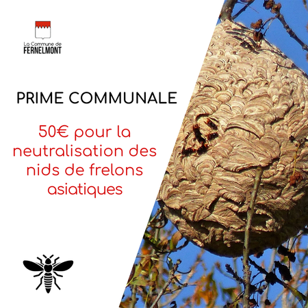 Illustration de l'actualité - cliquer pour agrandir