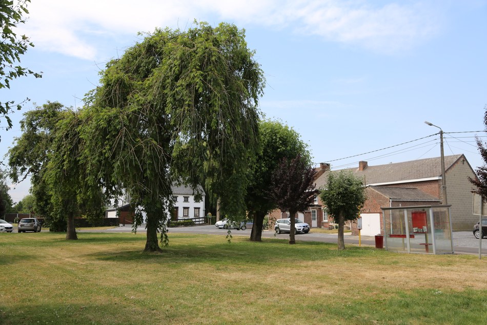 Photo de la Province - BIERWART