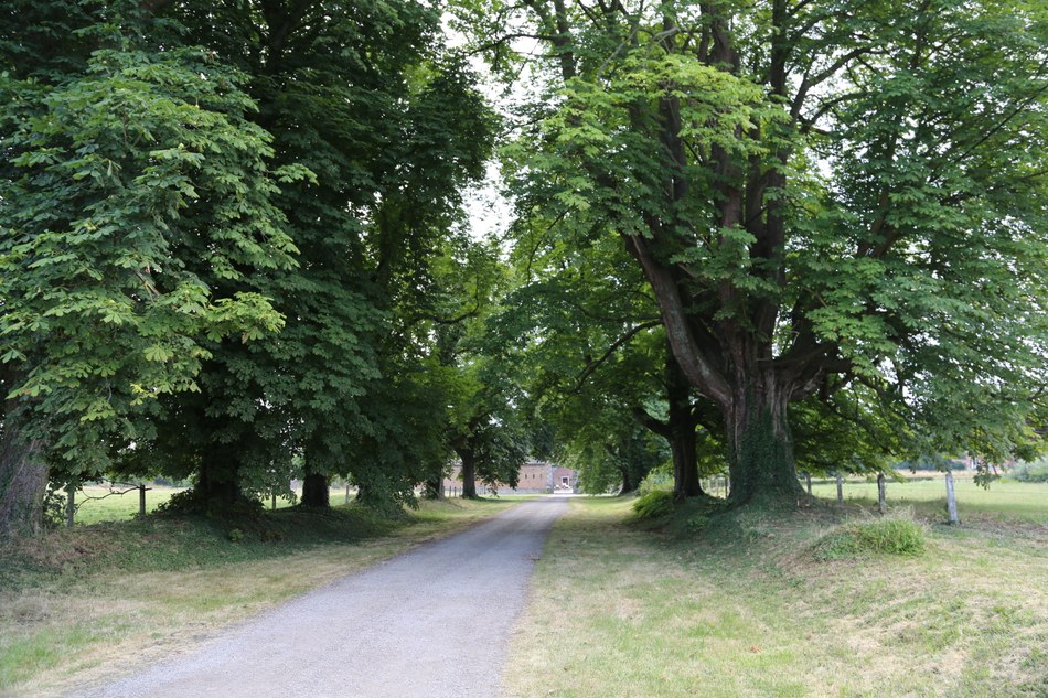 Photo de la Province - BIERWART