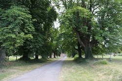Photo de la Province - BIERWART