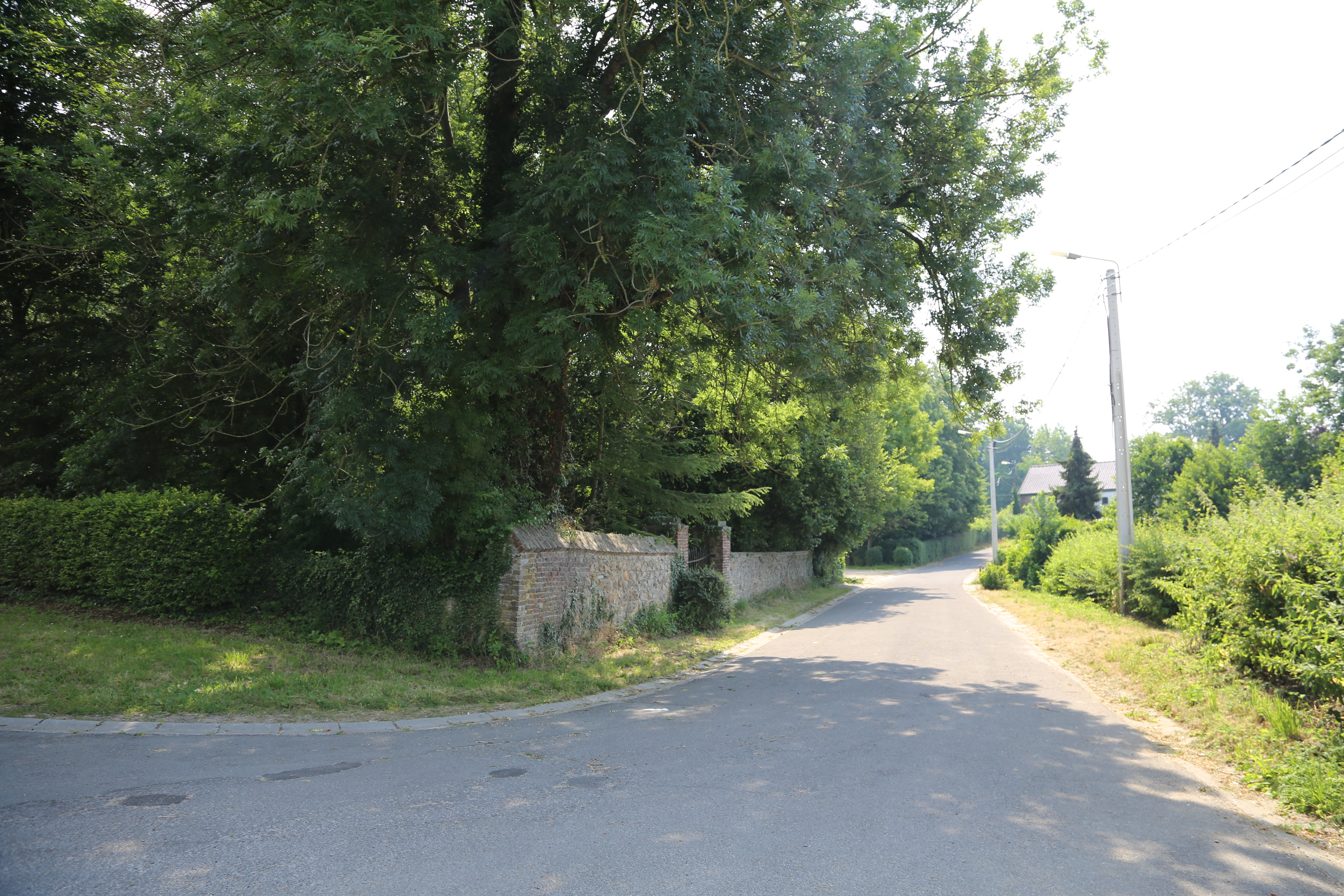 Photo PROVINCE - FORVILLE
