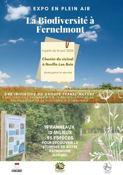 Expo en plein air (6)