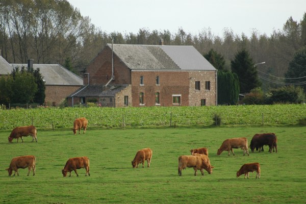 DSC_0035.JPG